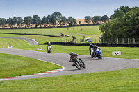 Lower Group Black Bikes